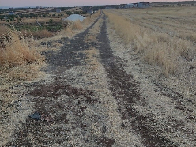 FİYAT DÜŞTÜ!!! GAZİANTEP/ BOZCADA ÖN CEPHE 85 METRE ASFALTA ARKA CEPHE İSE  KADASTRO YOLUNA SIFIR - Görsel 8