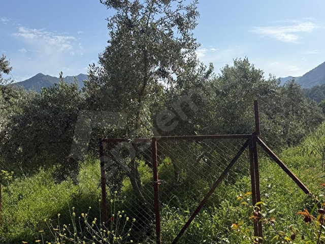 ADRASAN DA MUHTEŞEM GÜZELLİKTE AHŞAP VİLLAMIZ VE ARSAMIZ SATIŞTA - Görsel 7