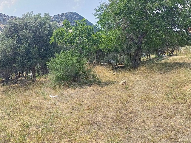 YATIRIM İÇİN UYGUN ÖDEMİŞ KÖY İÇİNDE 490M2 TEK TAPU MÜSTAKİL PARSEL ARSAMIZ SATILIKTIR. - Görsel 9