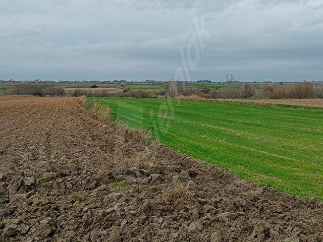 KIRKLARELİ BABAESKİ YENİKÖY İMARA AÇIK 1000 M2 SATILIK ÖZEL PARSEL - Görsel 27