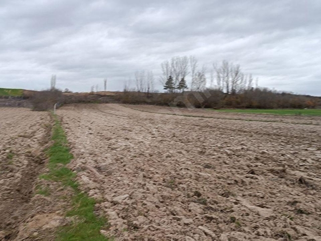 KIRKLARELİ BABAESKİ YENİKÖY İMARA AÇIK 1000 M2 SATILIK ÖZEL PARSEL - Görsel 19