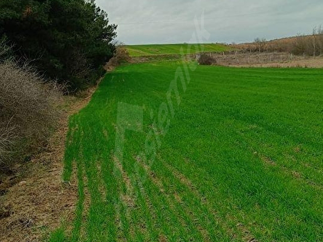 KIRKLARELİ BABAESKİ YENİKÖY İMARA AÇIK 1000 M2 SATILIK ÖZEL PARSEL