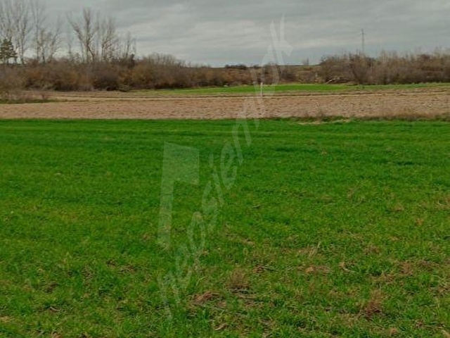KIRKLARELİ BABAESKİ YENİKÖY İMARA AÇIK 1000 M2 SATILIK ÖZEL PARSEL - Görsel 3