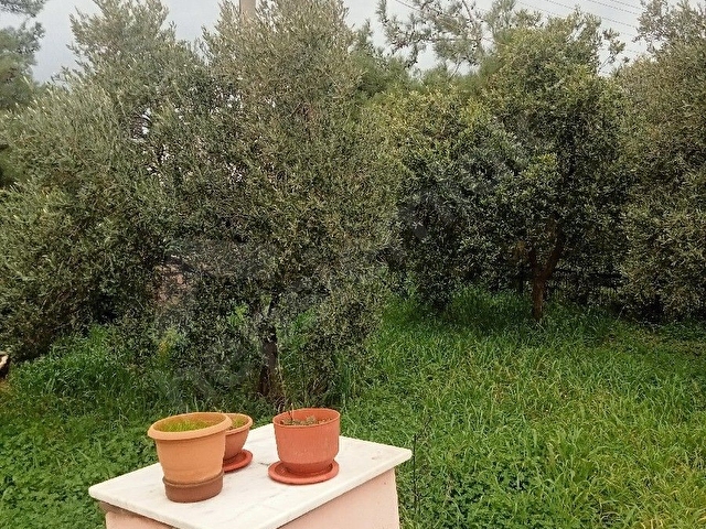 Ayvalık Cunda adasında manzarası çok güzel villa arsasi - Görsel 14