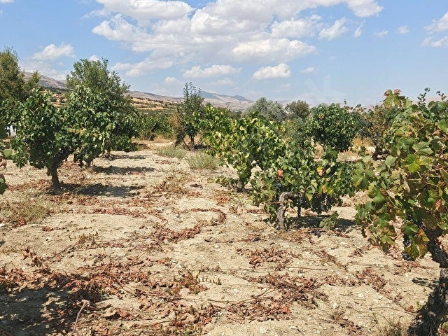 🌿🍇 Antalya / Elmalı – Gölova Mahallesi’nde Eşsiz Yatırım Fırsatı! 🌿🍇 - Görsel 2
