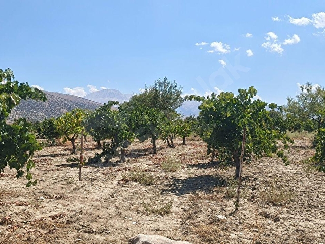 🌿🍇 Antalya / Elmalı – Gölova Mahallesi’nde Eşsiz Yatırım Fırsatı! 🌿🍇 - Görsel 6