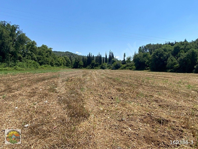 Köyceğiz Beyobası mah.1740 m Satılık Tarla - Görsel 2