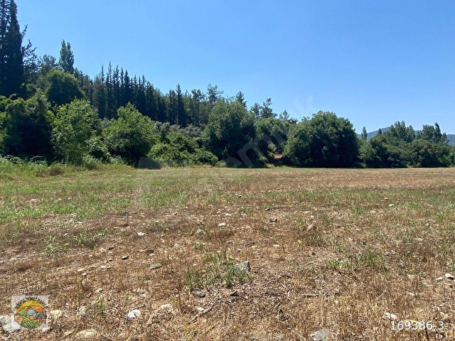 Köyceğiz Beyobası mah.1740 m Satılık Tarla - Görsel 7