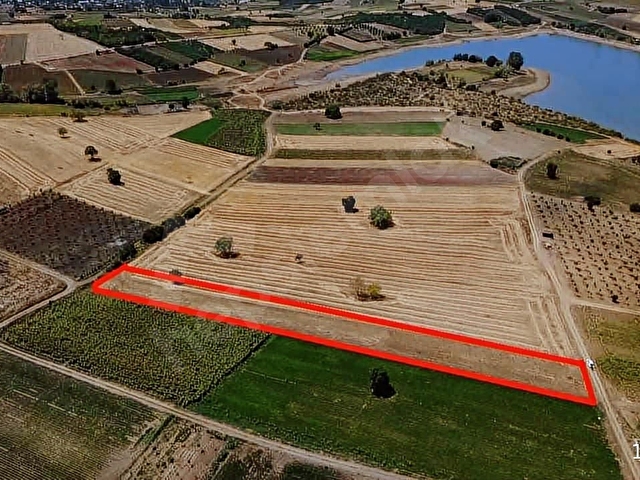 Bursa Yenişehir orhaniyede 4179 m2 arazim satılıktır - Görsel 19