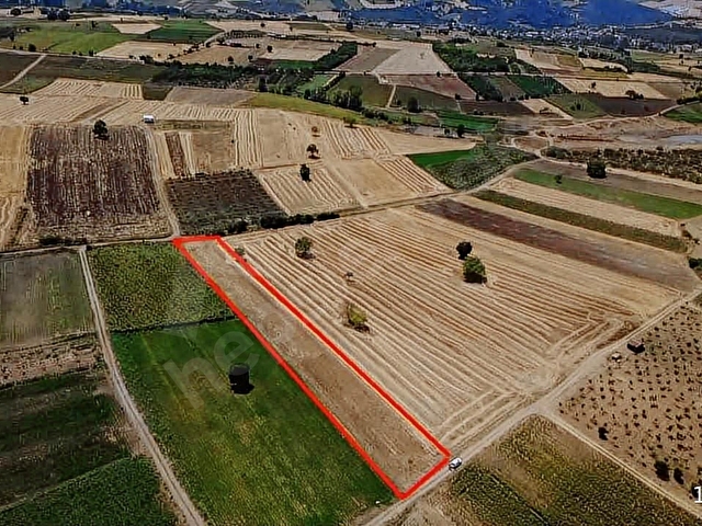 Bursa Yenişehir orhaniyede 4179 m2 arazim satılıktır - Görsel 20