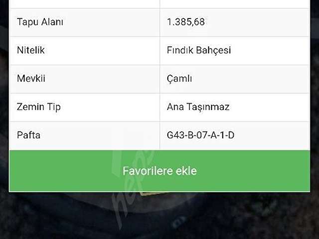 TRABZON DA   DOGA MANZARALI ARSA - Görsel 6