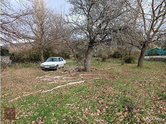 HAMDİ EMLAKTAN SAHİL MAH.ÇURA DA SAHİLE YAKIN 2855 M2 ZEYTİNLİK - Görsel 11