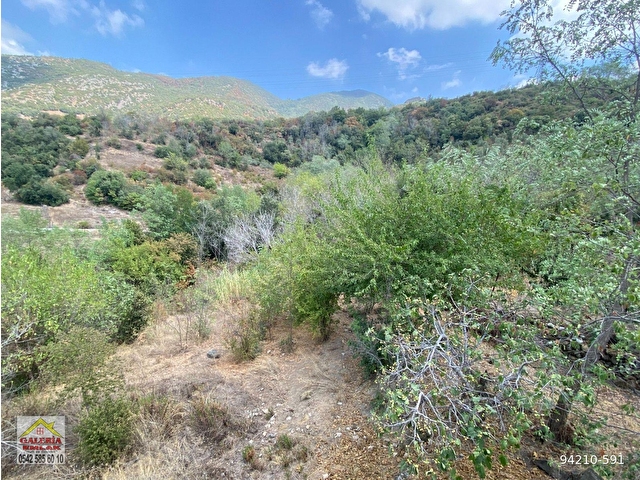 DÜZİÇİNDE  ÇOK UYGUN 750 BİNE 830 M2ARSALAR - Görsel 2