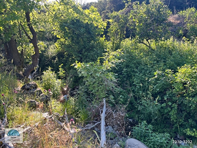 ÇANAKKALE AYVACIK DİBEKLİ DE 684.00.M2 BAHÇE - Görsel 12