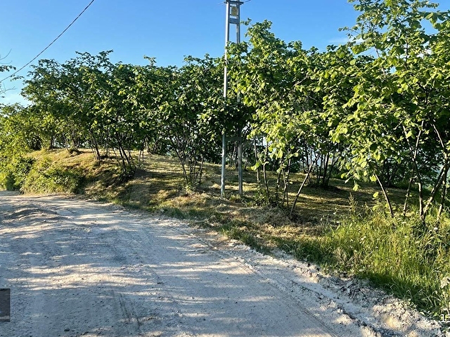 Arsin Çiçekli Mahallesi Satılık Arazi