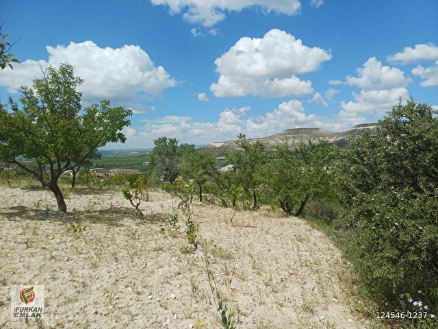 DOĞAYLA İÇ İÇE EŞSİZ FIRSAT :SATILIK 3203 m2 MUHTEŞEM BAĞ - Görsel 14