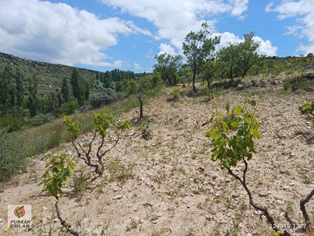 DOĞAYLA İÇ İÇE EŞSİZ FIRSAT :SATILIK 3203 m2 MUHTEŞEM BAĞ - Görsel 7