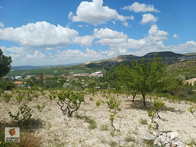 DOĞAYLA İÇ İÇE EŞSİZ FIRSAT :SATILIK 3203 m2 MUHTEŞEM BAĞ - Görsel 2