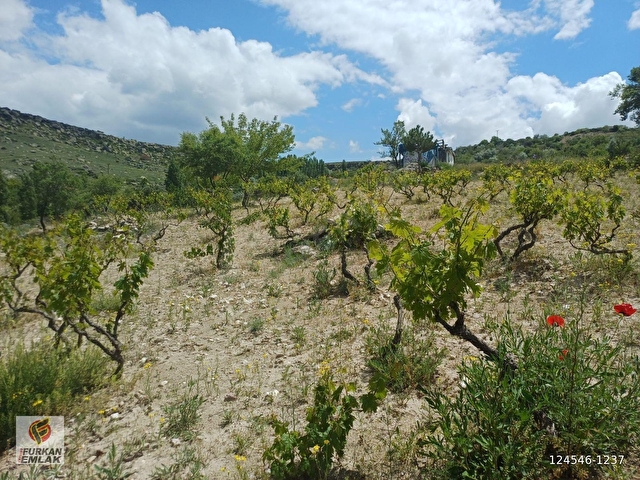 DOĞAYLA İÇ İÇE EŞSİZ FIRSAT :SATILIK 3203 m2 MUHTEŞEM BAĞ - Görsel 10