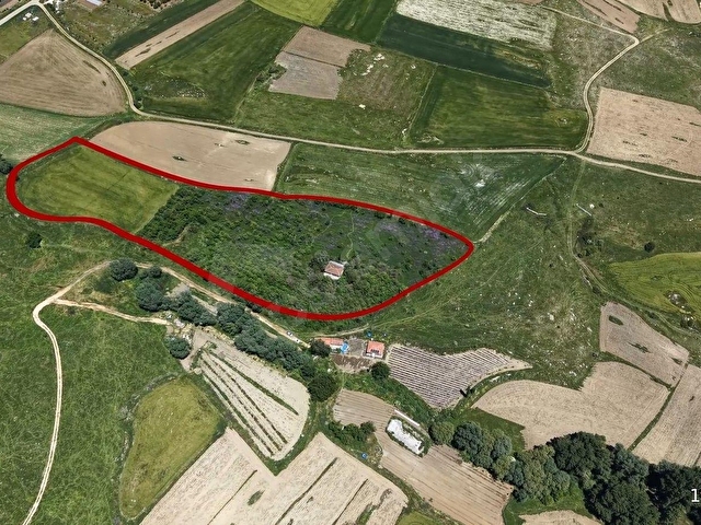 KOZKAYI KÖYÜNDE SATILIK 23.241 M2 TARLA - Görsel 2