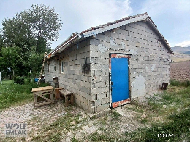 Selçuklu Sızmada Kiralık Çiftlik | Evli, 1899 m² Arsa İçinde, Büyükbaş ve Küçükbaşa Uygun
