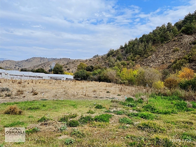 SERALARIN ORTASINDA,KÖYÜN DİBİNDE,4.726 M2 TOPRAĞI VERİMLİ ARAZİ - Görsel 5
