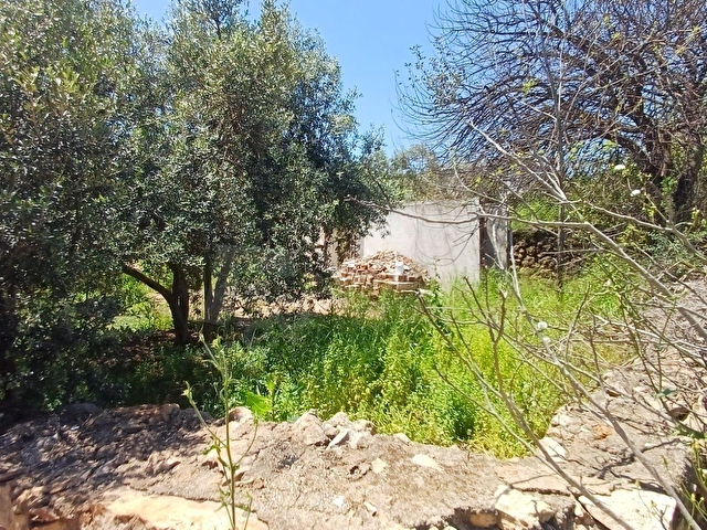DAİRE FİYATINA 865M2 MÜSTAKİL ARSASI VE EV - Görsel 13
