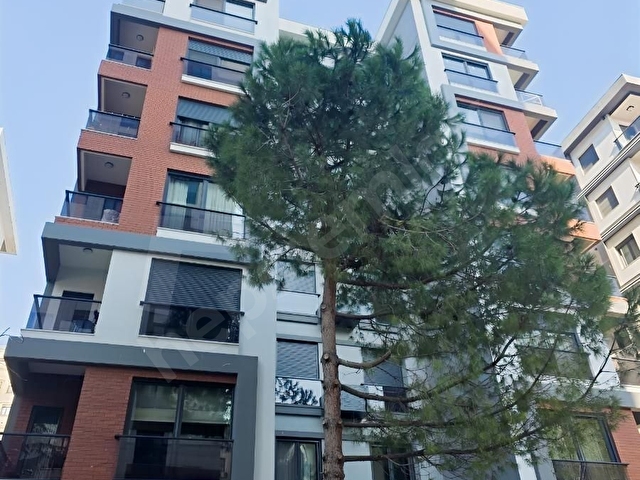 ZEYNEP YENİ BİNA HAYRİYE HANIM APT