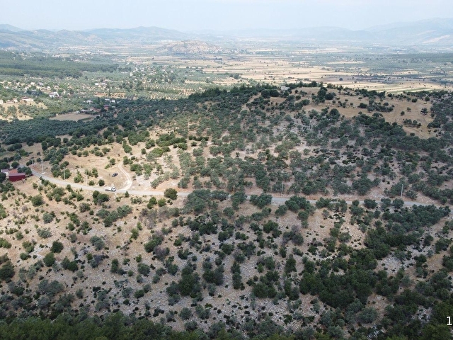 Muğla Milas Çamovalıda 366 M. Ana Yol Cepheli Satılık Arazi... - Görsel 6
