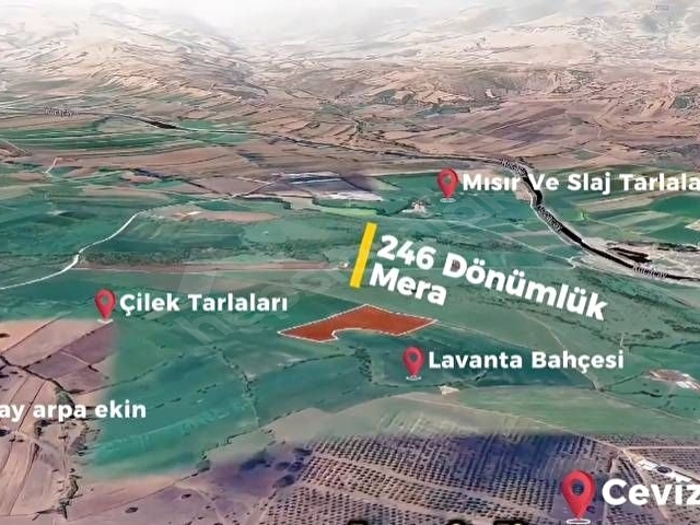 Balıkesir İvrindi - Görsel 3