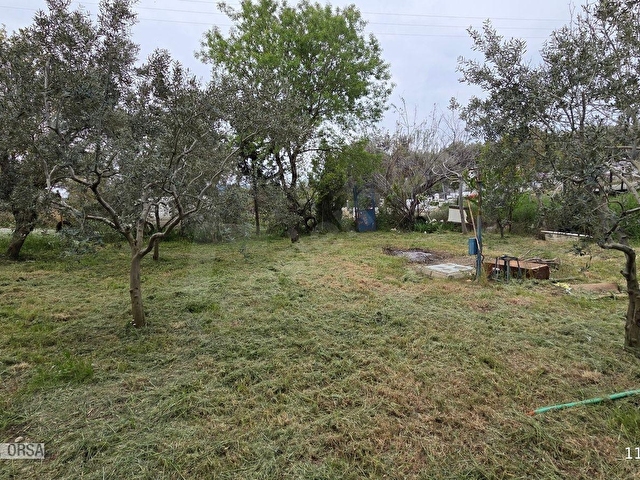 Buca Kırklarda 1180 m² Zeytinlik 2 Kat İmarlı, 50 m² Evli - Görsel 3