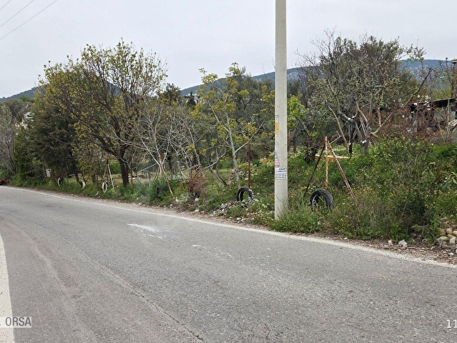 Buca Kırklarda 1180 m² Zeytinlik 2 Kat İmarlı, 50 m² Evli - Görsel 23