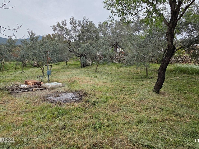Buca Kırklarda 1180 m² Zeytinlik 2 Kat İmarlı, 50 m² Evli - Görsel 17
