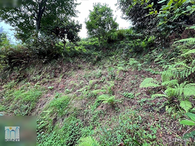 KENT EMLAKTAN ÇAYELİ KEMER KÖYÜNDE 1837M2 SATILIK ARAZİ - Görsel 23