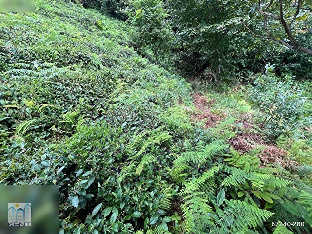 KENT EMLAKTAN ÇAYELİ KEMER KÖYÜNDE 1837M2 SATILIK ARAZİ - Görsel 21