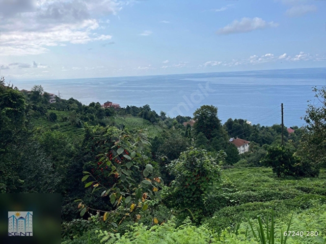 KENT EMLAKTAN ÇAYELİ KEMER KÖYÜNDE 1837M2 SATILIK ARAZİ - Görsel 26