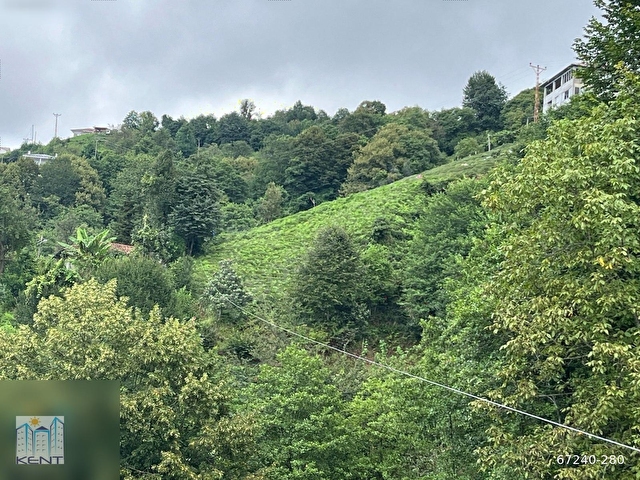 KENT EMLAKTAN ÇAYELİ KEMER KÖYÜNDE 1837M2 SATILIK ARAZİ - Görsel 4