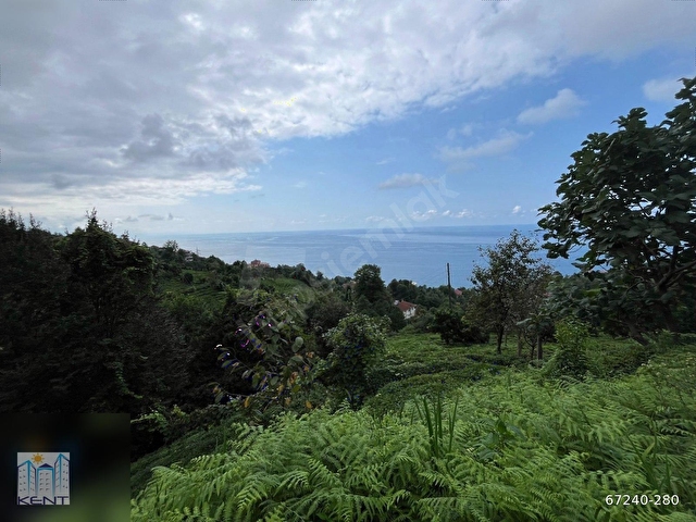 KENT EMLAKTAN ÇAYELİ KEMER KÖYÜNDE 1837M2 SATILIK ARAZİ - Görsel 5