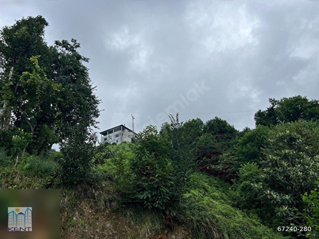 KENT EMLAKTAN ÇAYELİ KEMER KÖYÜNDE 1837M2 SATILIK ARAZİ - Görsel 6