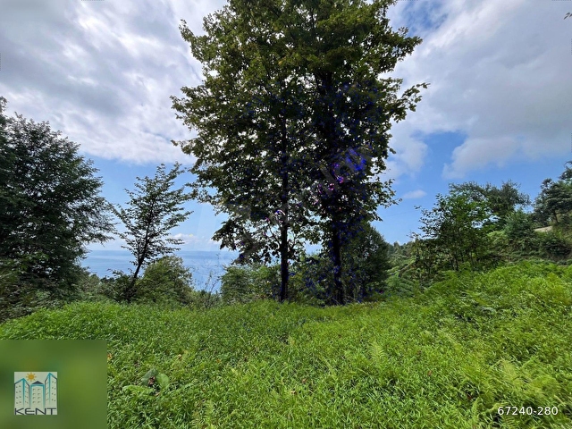 KENT EMLAKTAN ÇAYELİ KEMER KÖYÜNDE 1837M2 SATILIK ARAZİ - Görsel 25