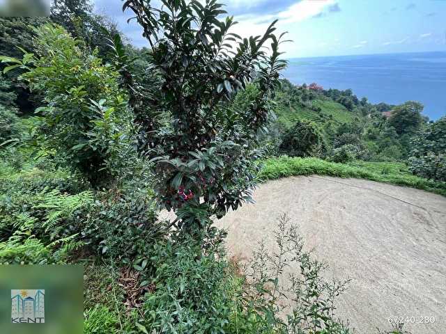 KENT EMLAKTAN ÇAYELİ KEMER KÖYÜNDE 1837M2 SATILIK ARAZİ - Görsel 18