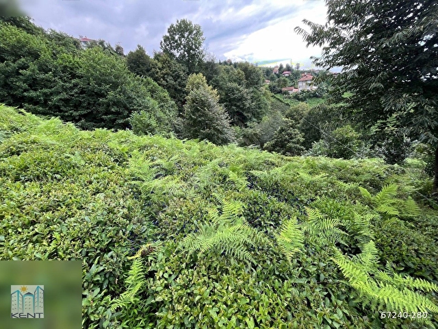 KENT EMLAKTAN ÇAYELİ KEMER KÖYÜNDE 1837M2 SATILIK ARAZİ - Görsel 10