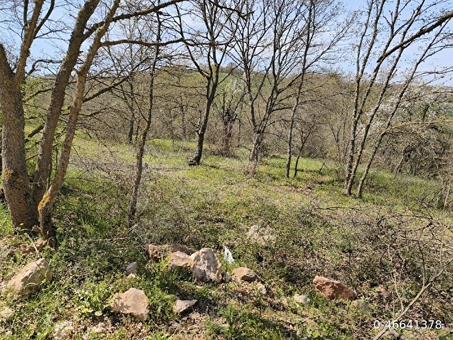 ACİL! Çanakkale Çan İlçesinde Yola Cephe Fırsatlık 8861 m² Tarla - Görsel 3