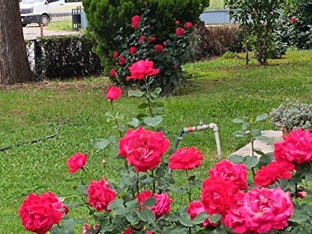 RT SAFİRDEN ATAEVLER CUMHURİYET MH DE 3+1 SATILIK DAİRE - Görsel 5