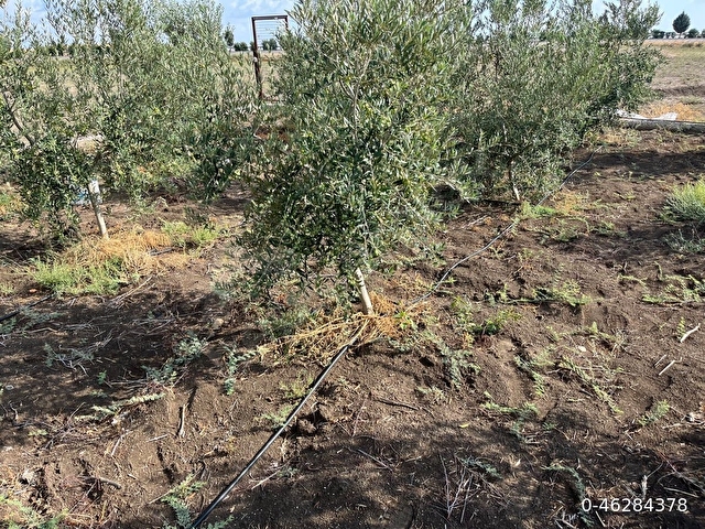 Araç takaslı imarlı arsa - Görsel 8