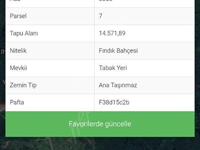 ÜNYE UMUT EMLAKTAN SARAÇLI MAH. GÜZEL KONUMDA ŞEYH YUNUSTA 14.571,89 M2 SATILIK FINDIK BAHÇESİ.. - Görsel 2