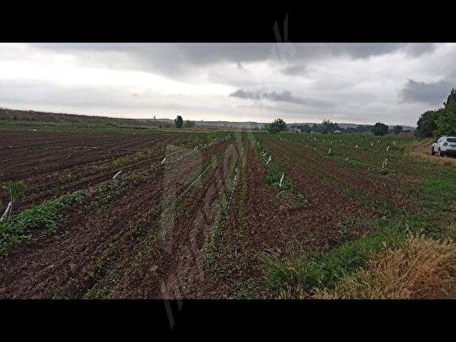 Çeltikçi Mahallesi Köyün Girişinde Mükrmmel Hobi bahçesi 1700 m² - Görsel 6