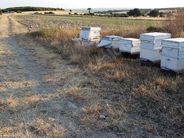 ÇANAKKALE MERKEZ HALİLELİ KÖYÜNDE SATILIK KUPON ARAZİ - Görsel 29
