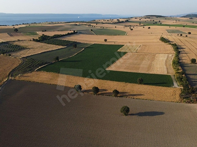ÇANAKKALE MERKEZ HALİLELİ KÖYÜNDE SATILIK KUPON ARAZİ - Görsel 8