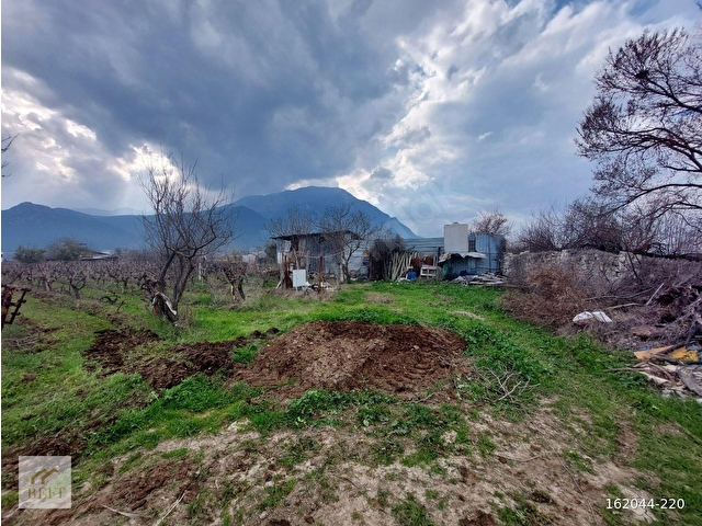 acill manisa şehzadeler  yeni harmandalı satılık tarla - Görsel 23